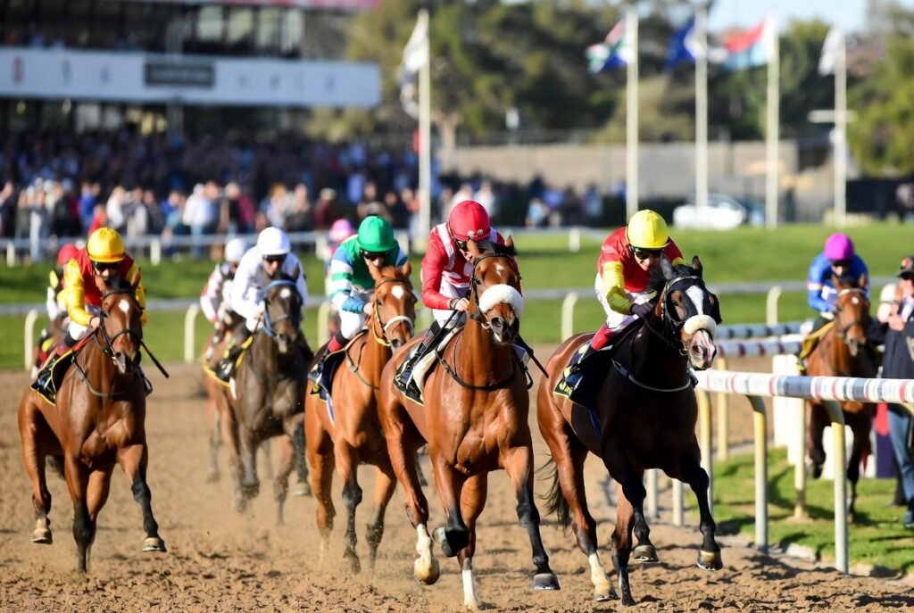 Tote Tips for this weekend at Scottsville and Turffontein - Expert betting advice for South African tote punters