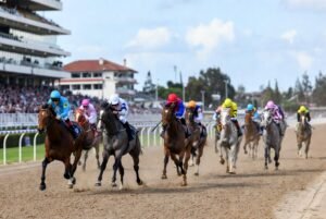 Durban July 2026 tips - Smart accumulator strategies for Hollywoodbets Durban July with horses racing at Greyville