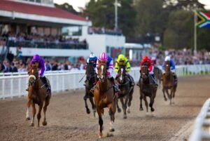 Durban July 2026 tips - Smart bankroll management and risk strategies for trading on Polymarket during the Hollywoodbets Durban July